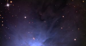 How to spin a disk around young protostars