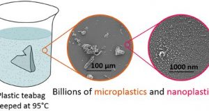 Plastic teabags release microscopic particles into tea