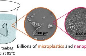 Plastic teabags release microscopic particles into tea Plastic teabags release microscopic particles into tea