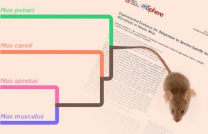 Study suggests gut bacteria helped shape mammalian evolution Study suggests gut bacteria helped shape mammalian evolution