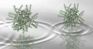cropped 2000 atoms in two places at once A new record in quantum superposition