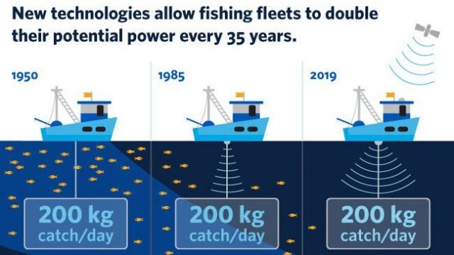 cropped 29 newtechnolog cropped 29 newtechnolog