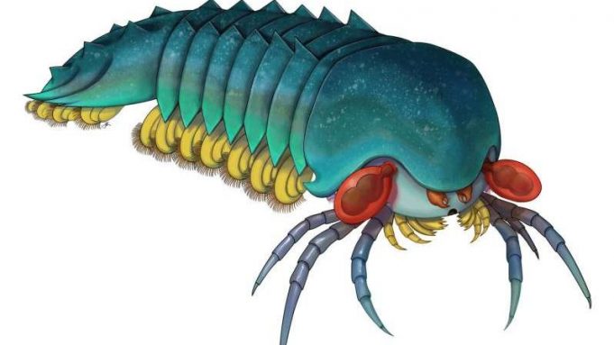 Half-a-billion-year-old tiny predator unveils the rise of scorpions and spiders cropped 6 halfabillion