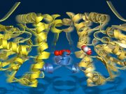 cropped A molecular string phone