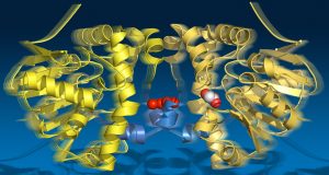 cropped A molecular string phone