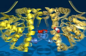 A molecular string phone at work cropped A molecular string phone
