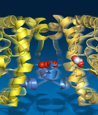 cropped A molecular string phone