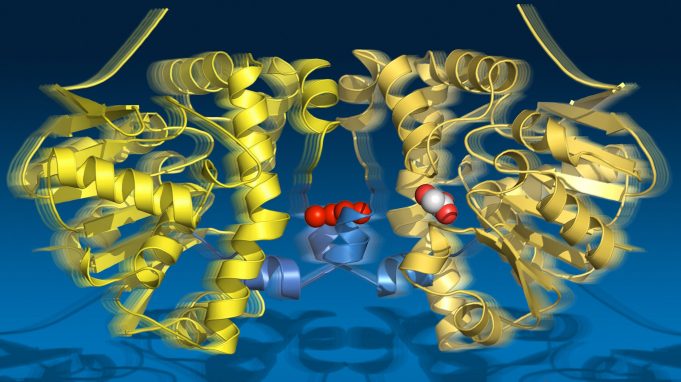 cropped A molecular string phone
