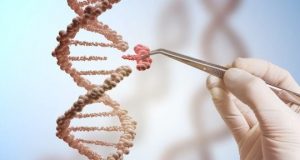 cropped A novel technology for genome editing a broad range of mutations in live organisms