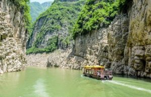 Ancient animal species: Fossils dating back 550 million years among first animal trails cropped Ancient animal species Fossils dating back 550 million years among first animal trails