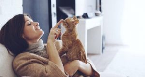 cropped Cats are securely bonded to their people too