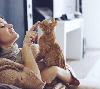 cropped Cats are securely bonded to their people too