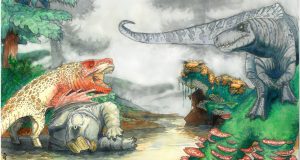 cropped Croc like carnivores terrorized Triassic dinosaurs in southern Africa 210 million years ago