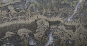 cropped Earliest signs of life Scientists find microbial remains in ancient rocks