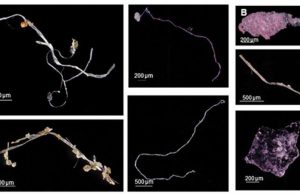 Explosion in plastic pollution post-World War II seen in marine sediments cropped Explosion in plastic pollution post World War II seen in marine sediments