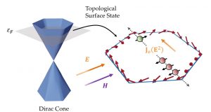 cropped Getting a look under the hood of topological insulators