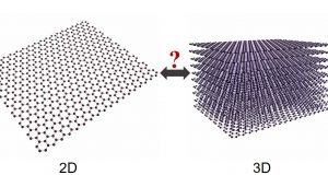 cropped Graphene is 3 D as well as 2 D