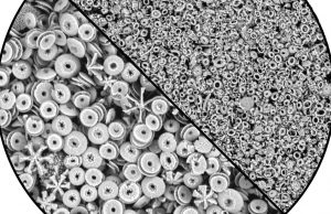 Is theory on earth’s climate in the last 15 million years wrong? cropped Is theory on earths climate in the last 15 million years wrong