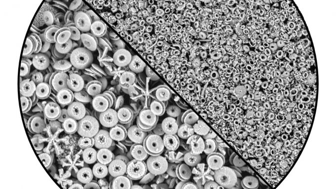 cropped Is theory on earths climate in the last 15 million years wrong