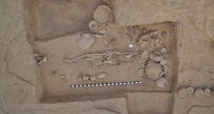 cropped Largest ever ancient DNA study illuminates millennia of South and Central Asian prehistory