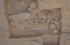 Largest-ever ancient-DNA study illuminates millennia of South and Central Asian prehistory cropped Largest ever ancient DNA study illuminates millennia of South and Central Asian prehistory