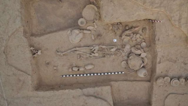 cropped Largest ever ancient DNA study illuminates millennia of South and Central Asian prehistory cropped Largest ever ancient DNA study illuminates millennia of South and Central Asian prehistory