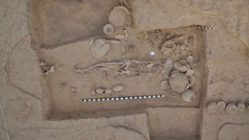 cropped Largest ever ancient DNA study illuminates millennia of South and Central Asian prehistory