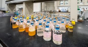 cropped Microbe chews through PFAS and other tough contaminants