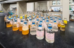 Microbe chews through PFAS and other tough contaminants cropped Microbe chews through PFAS and other tough contaminants