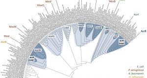 cropped Multidrug resistance Not as recent as we thought
