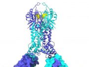 cropped New discoveries map out CRISPR Cas defense systems in bacteria