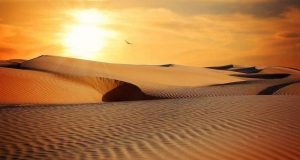 cropped New feedback phenomenon found to drive increasing drought and aridity