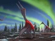 cropped New flying reptile species was one of largest ever flying animals