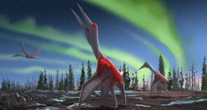 cropped New flying reptile species was one of largest ever flying animals