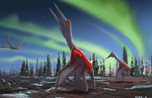 cropped New flying reptile species was one of largest ever flying animals