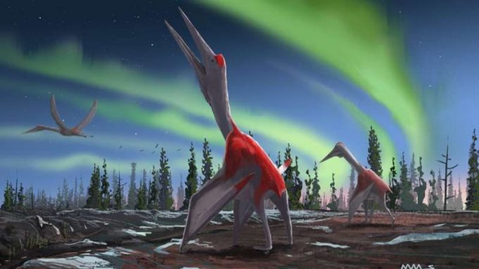 New flying reptile species was one of largest ever flying animals cropped New flying reptile species was one of largest ever flying animals