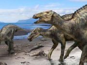 cropped New hadrosaur from Japan sheds light on dinosaur diversity