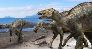 cropped New hadrosaur from Japan sheds light on dinosaur diversity