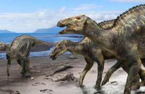 New hadrosaur from Japan sheds light on dinosaur diversity cropped New hadrosaur from Japan sheds light on dinosaur diversity