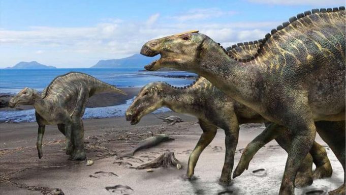 New hadrosaur from Japan sheds light on dinosaur diversity cropped New hadrosaur from Japan sheds light on dinosaur diversity
