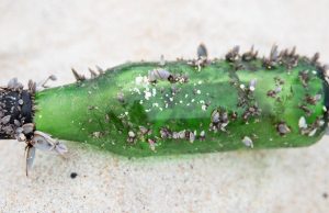 Ocean plastic waste probably comes from ships, report says cropped Ocean plastic waste probably comes from ships report says