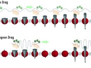 cropped Paramagnetic spins take electrons for a ride produce electricity from heat