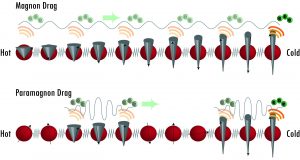 cropped Paramagnetic spins take electrons for a ride produce electricity from heat