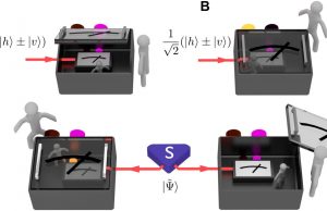 Quantum observers may be entitled to their own facts cropped Quantum observers may be entitled to their own facts
