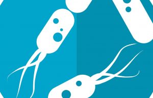 Raw vs. cooked diets have distinct effects on both mouse and human gut microbes cropped Raw vs. cooked diets have distinct effects on both mouse and human gut microbes