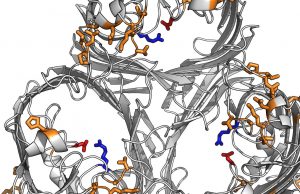 Researchers reveal how bacteria behind hospital infections block out antibiotics cropped Researchers reveal how bacteria behind hospital infections block out antibiotics