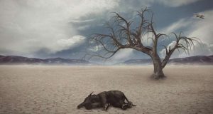 cropped Researchers unearth new extinction