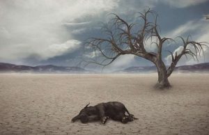 cropped Researchers unearth new extinction