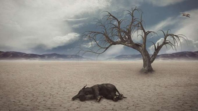 cropped Researchers unearth new extinction