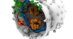 cropped Scientists construct energy production unit for a synthetic cell